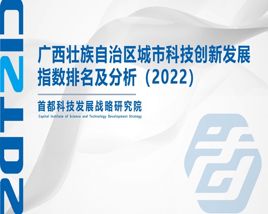 把逼操喷水h视频【成果发布】广西壮族自治区城市科技创新发展指数排名及分析（2022）